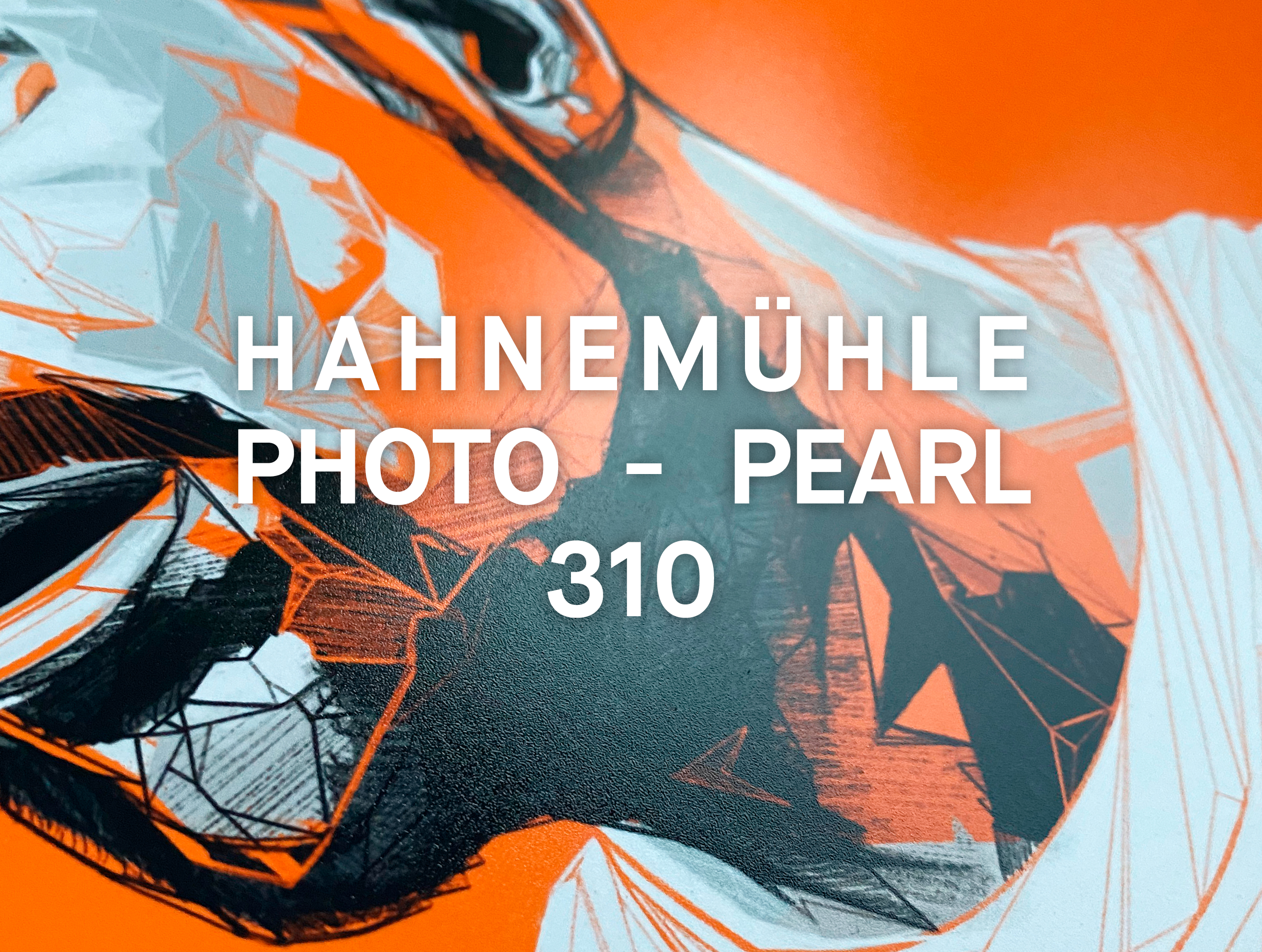 Pablo Hernandez - image 3